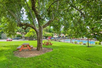 Seasonal sparkling pool